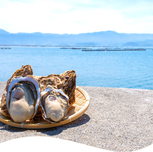 小野光魚店